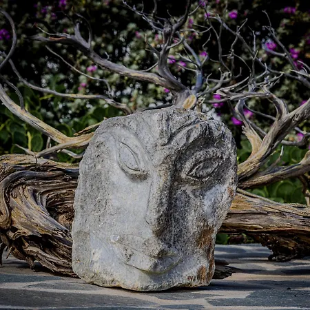 Villa Ione Mikrí Vígla